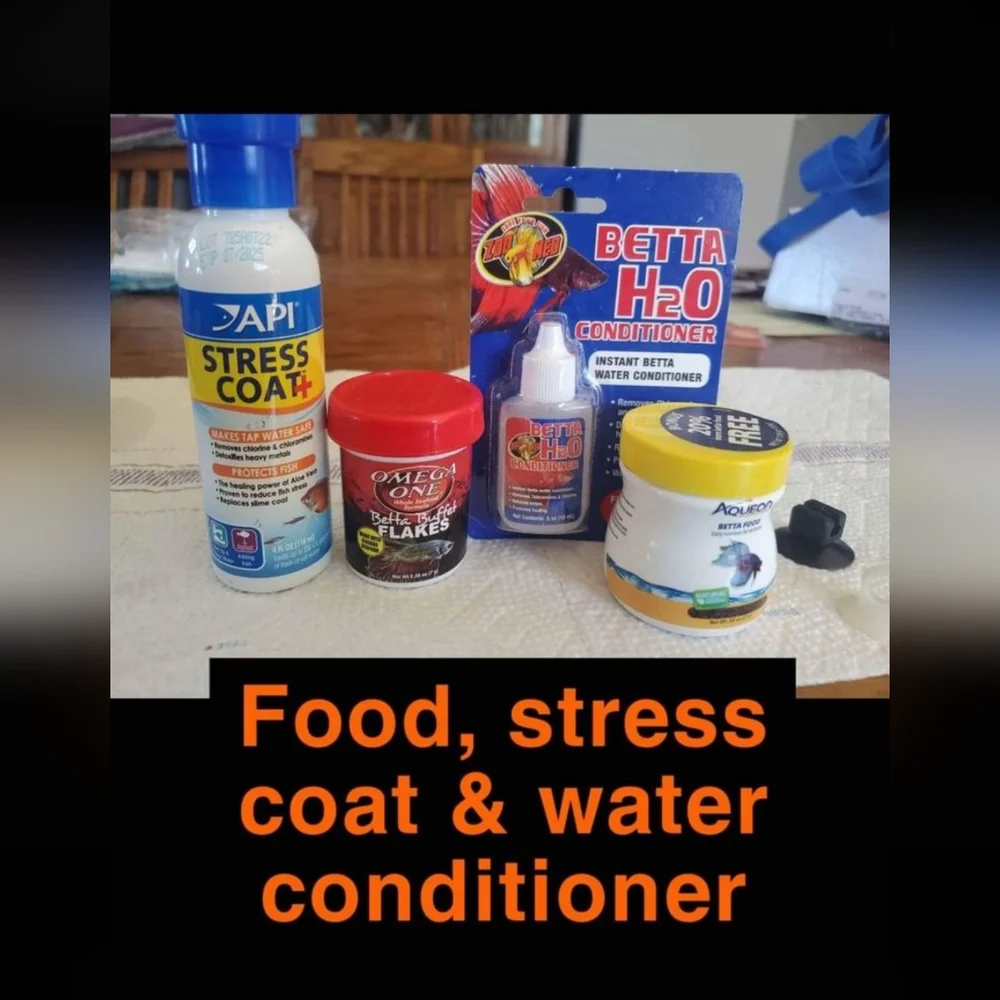 Fish Tank + Supplies